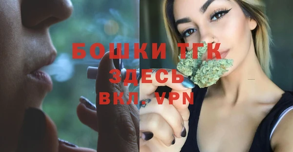 МДПВ Володарск
