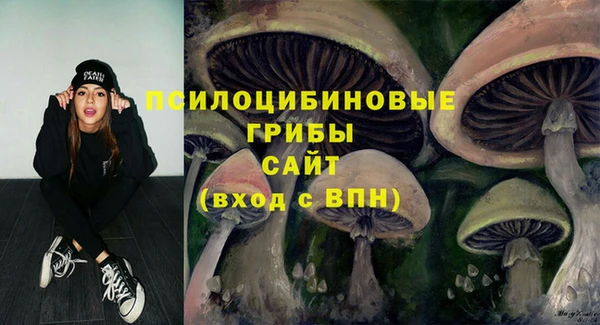 МДПВ Володарск